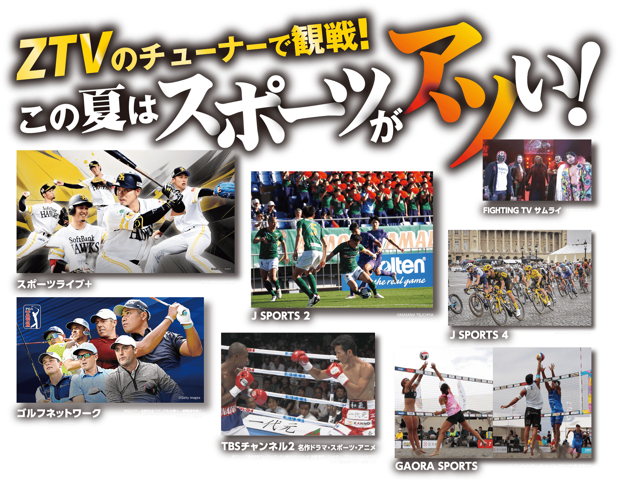 ZTVのチューナーで観戦！この夏はスポーツがアツい！