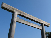 image05