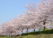 image05
