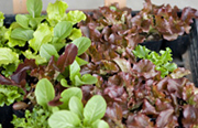 image02