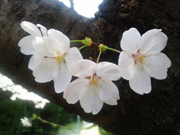 image02