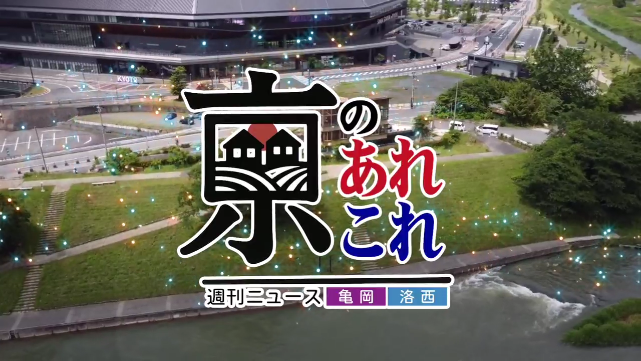 京のあれこれ