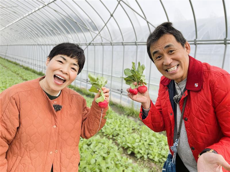 番組メインビジュアル