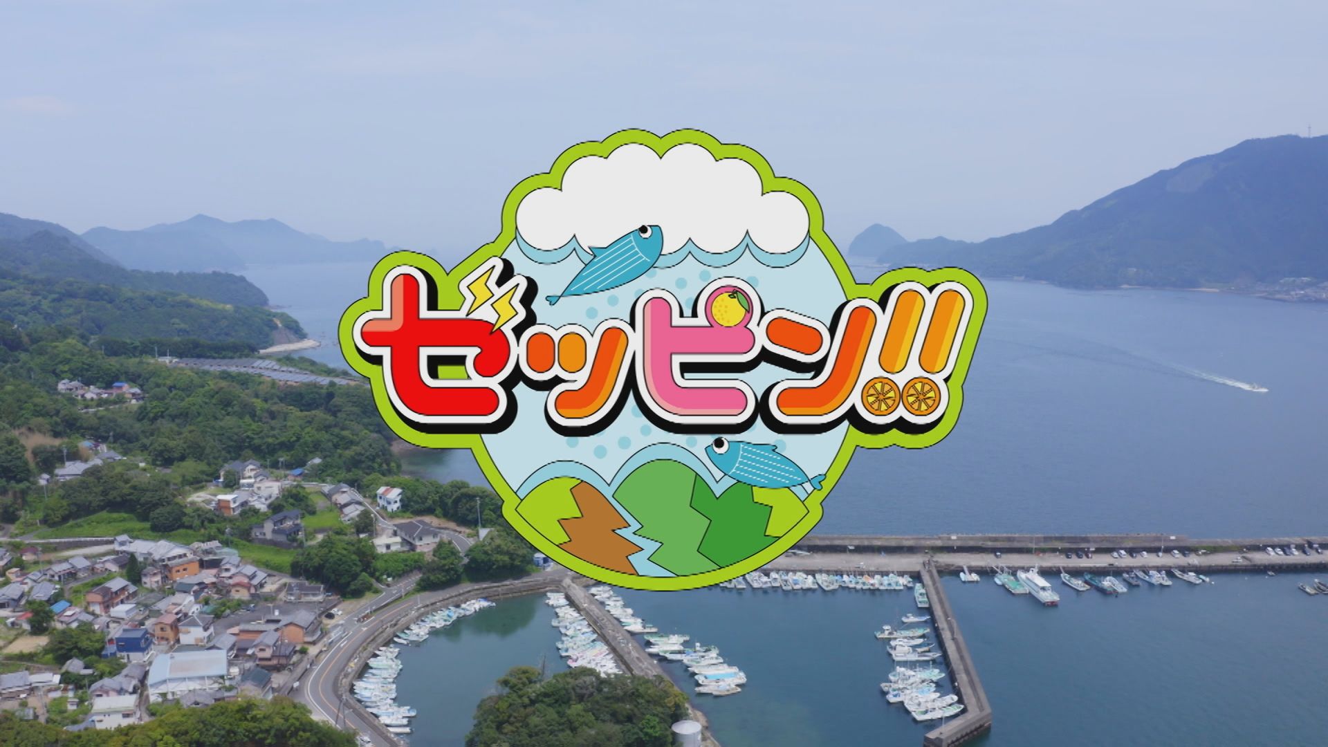 ゼッピン！！
