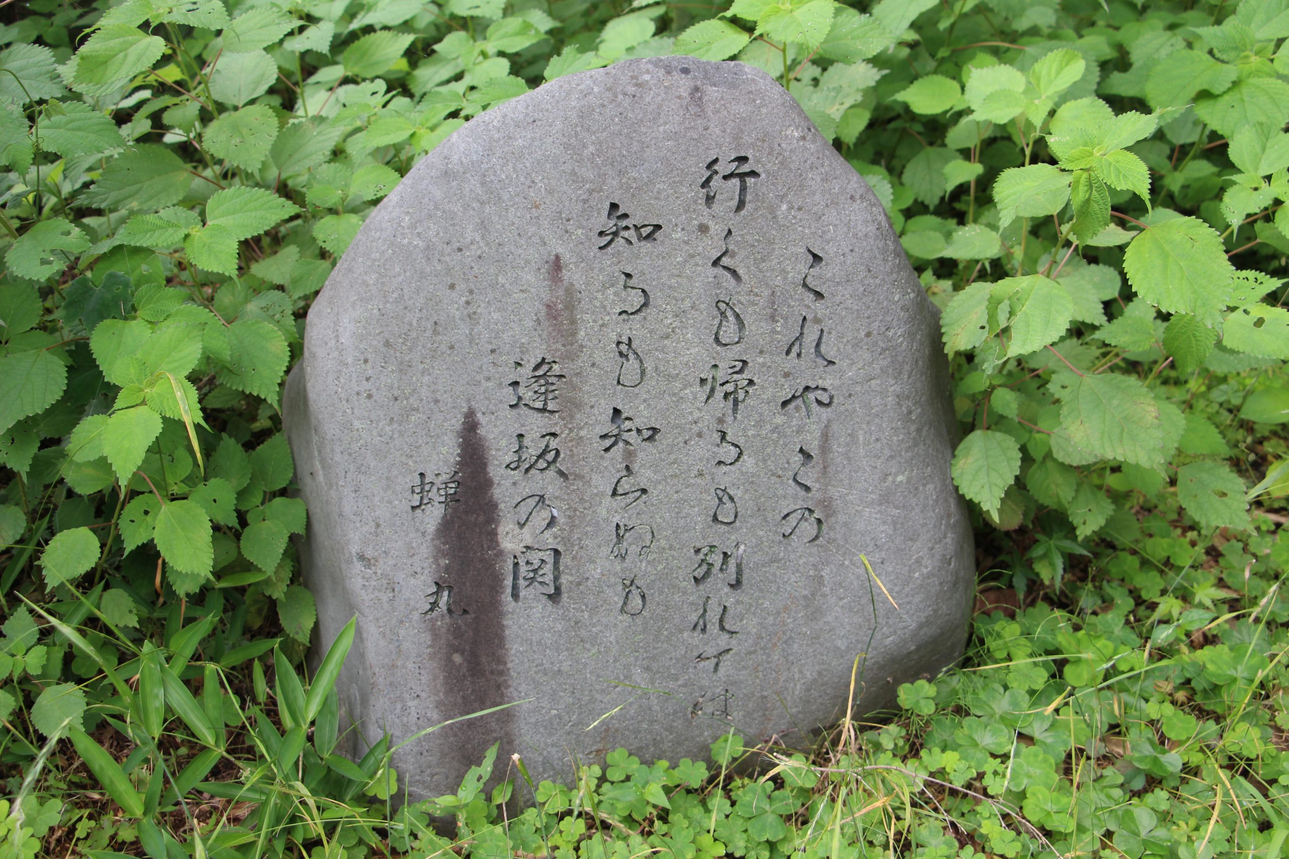 番組メインビジュアル